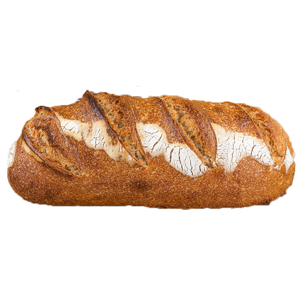 Surdejsbrød